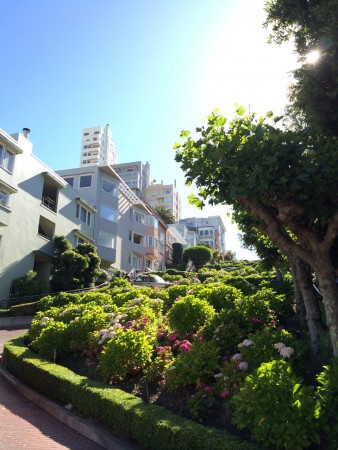 San Francisco-Lombard St